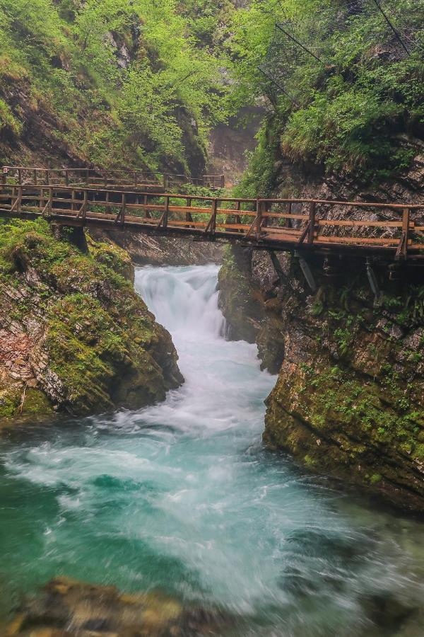 Cottage House Podgosar Bled Pokljuka מראה חיצוני תמונה